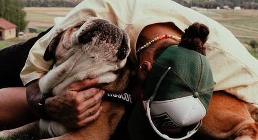 Gyászol Hamilton! A Forma1-es pilóta karjaiban halt meg hű társa, Roscoe