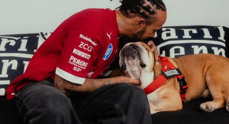 „Roscoe mindörökké” – érzelmes videóban búcsúzik a kutyájától Hamilton