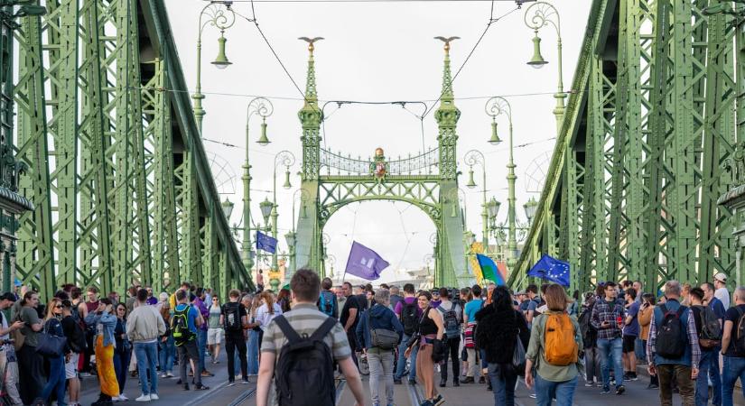 Tízezer forintos büntetést kapott a tüntető, aki véletlenül megütött egy rendőrt egy áprilisi hídfoglaláson