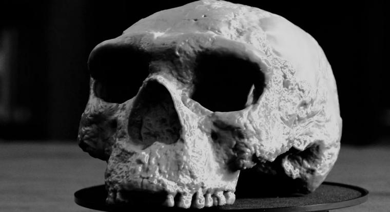 Újraírhatja az emberi evolúció történetét az egymillió éves emberi koponya