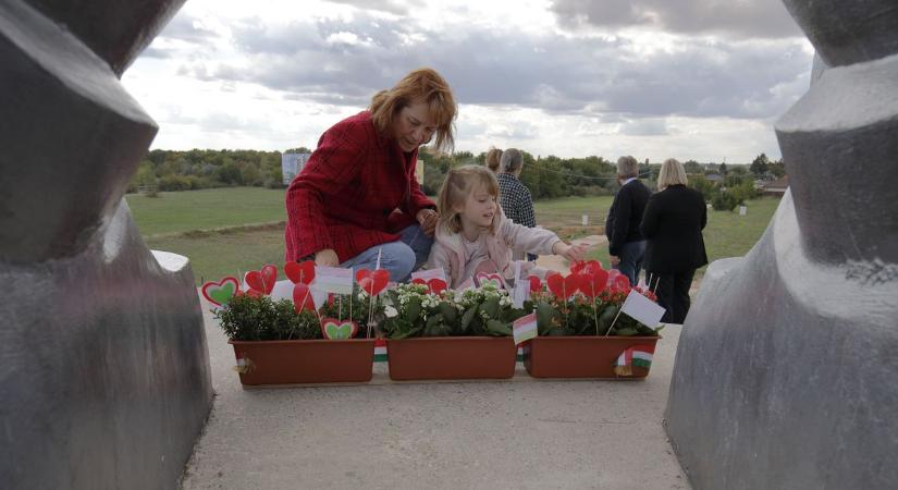 Rendíthetetlen Miskahuszár: pótolták az ellopott táblákat (galéria, videó)