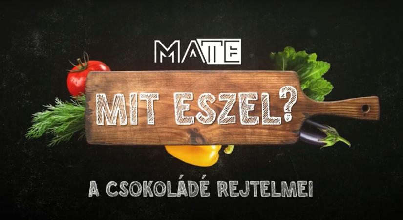 Miért nem mindegy, hogy csokit vagy kakaós masszát eszünk?