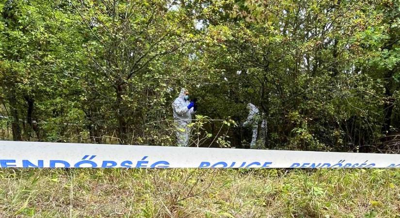 Monoron mindenki Kaszás Nikolettet gyászolja: a 27 éves nő önkezével végezhetett magával a Pilisben