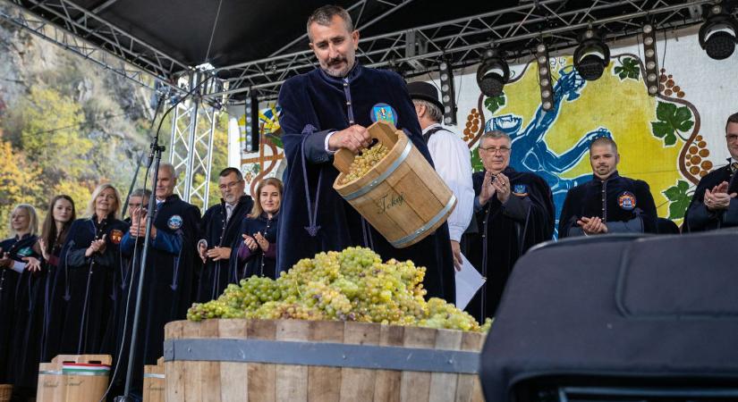 Bor, hagyomány és fesztiválhangulat október első hétvégéjén – Szüreti Napok Tokajban