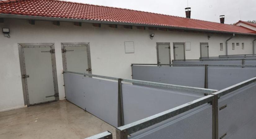 Kettő az egyben: sertéstelep és bemutatóüzem is