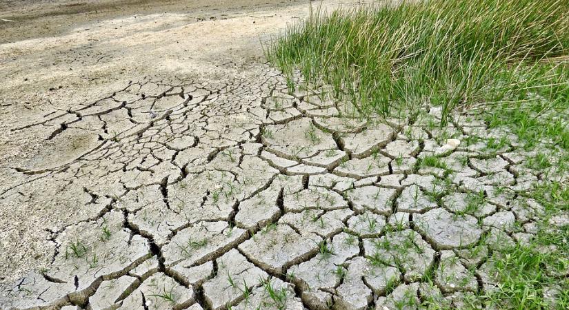 Durva, mi vár ránk 2030-ig és 2050-ig