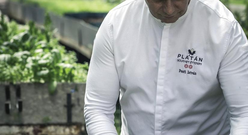 Új üvegház a Platán Gourmet-ben