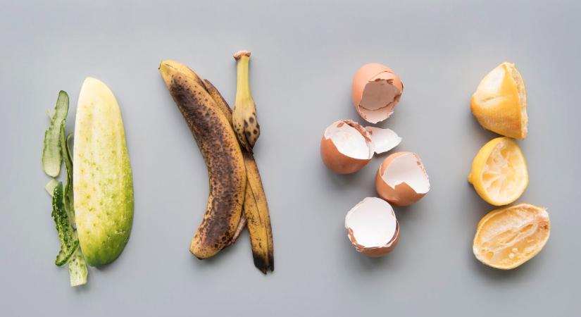 Élelmiszerpazarlás: lassan, de megjön az eszünk