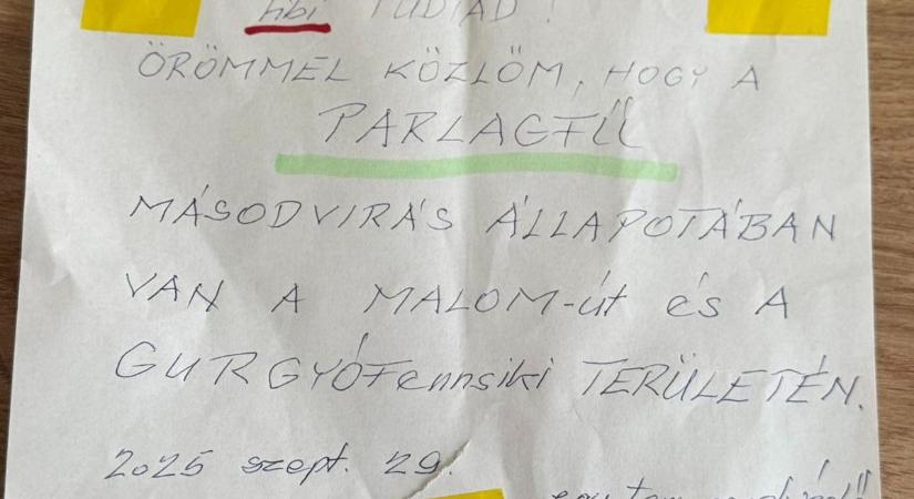 „Tibi tudtad!” – Rejtélyes üzenet a buszmegállóban, ami az egész falut érinti!