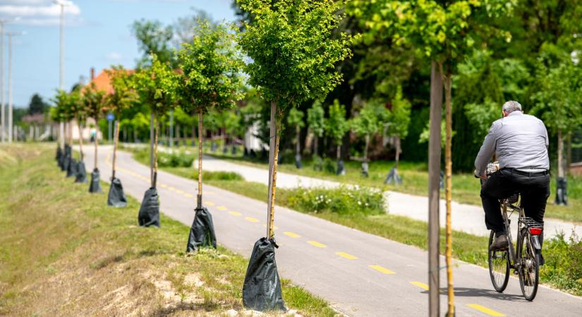 Több mint 400 millió forintból fejlődött a kerékpáros közlekedés Mórahalmon
