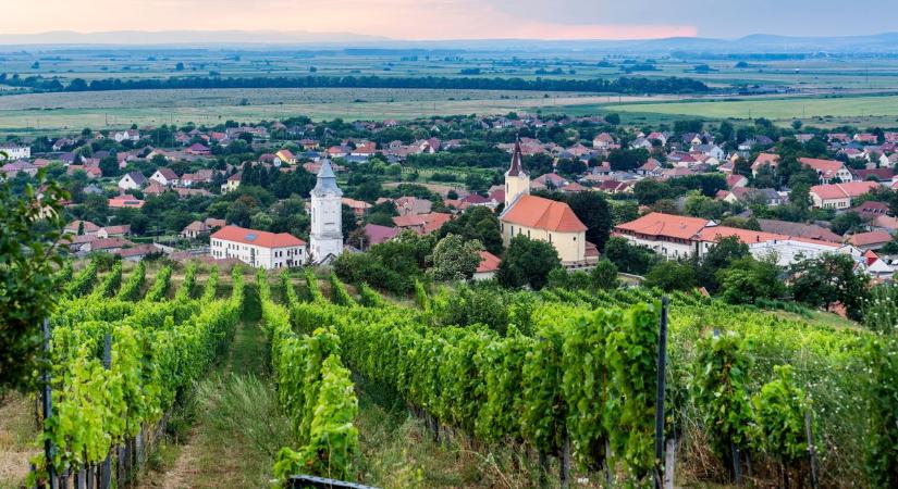 Tokaj-Hegyalja – őszi harmat után