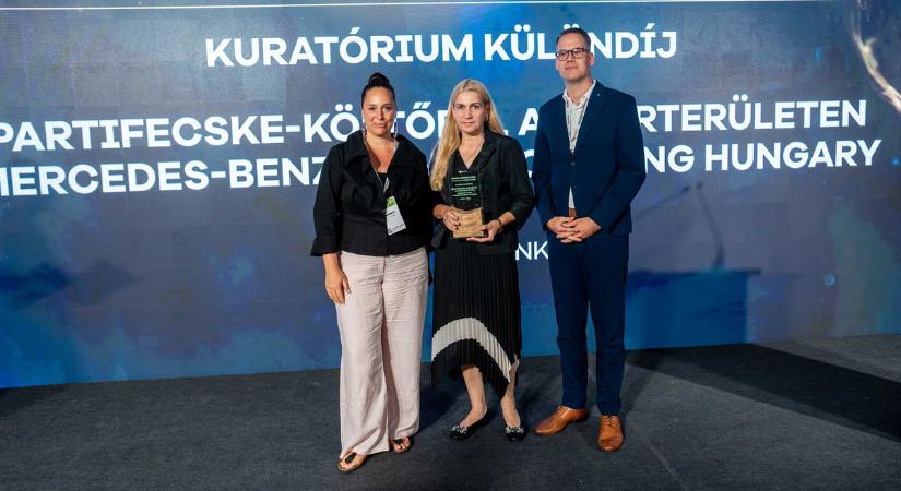 Fecskéket mentett meg a kecskeméti Mercedes-gyár, díjat nyert a környezetvédelmi projekt