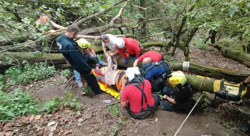 Túrázót mentettek a Vértesben, a sziklás hegyoldalon csúszott meg egy férfi