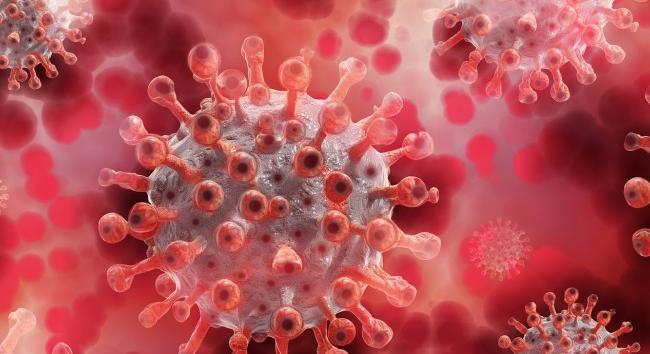 Száz alatt a koronavírusban elhunytak száma
