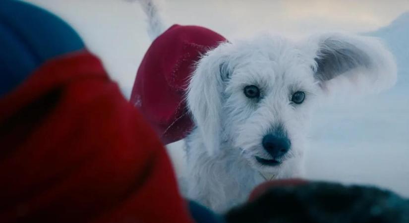 Superman letarolta az HBO Max-ot és ezen még Barbie is elcsodálkozott