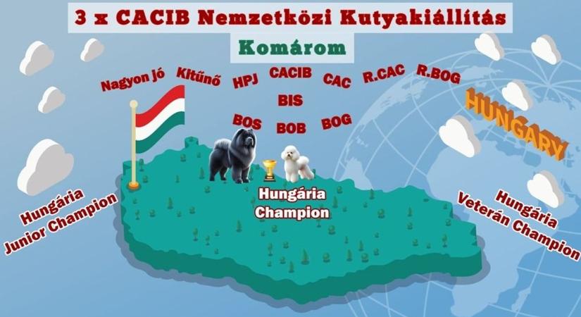 Nemzetközi kutyakiállítás az erődben: háromnapos kutyás kavalkád várja a látogatókat