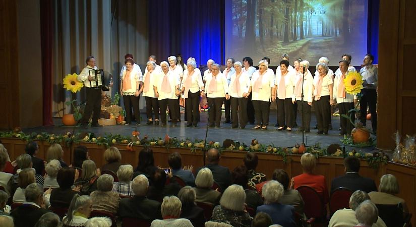 Idősek hónapja: számos programmal várják a szépkorúakat városszerte – videóval