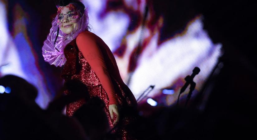 Björk, avagy a földből gyökerező aktivizmus