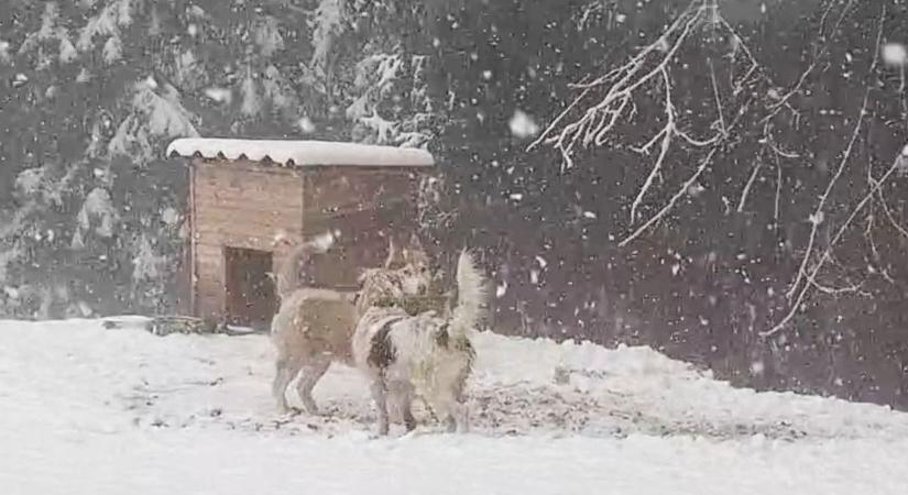 Döbbenetes fordulat várható vármegyénk időjárásában! A szomszédban már havazik! (fotók, videók)