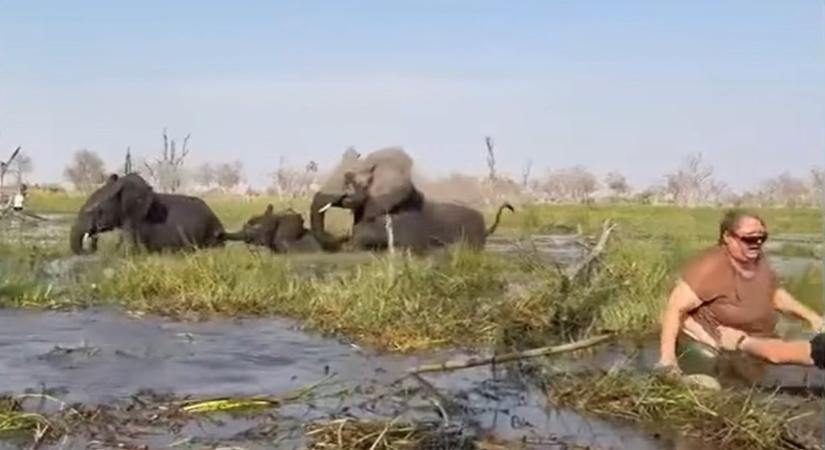 Félelmetes videó: hattonnás elefántbika támadt kajakozó brit turistákra az afrikai szafarin