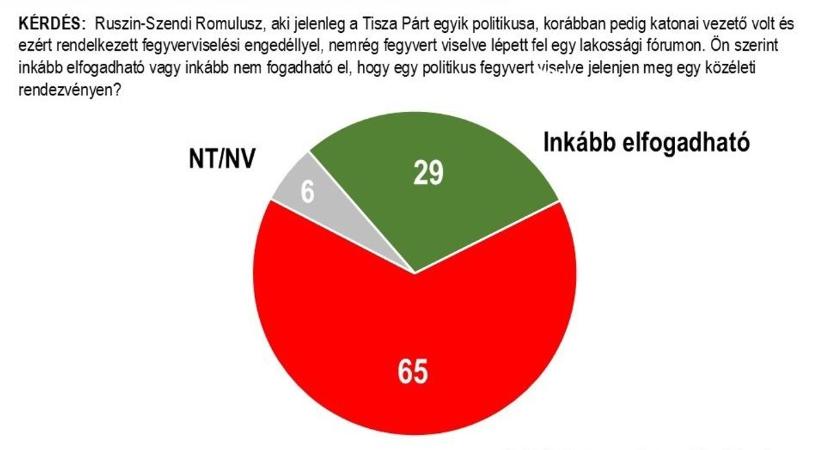 A magyarok elutasítják Ruszin-Szendi Romulusz fegyverviselését