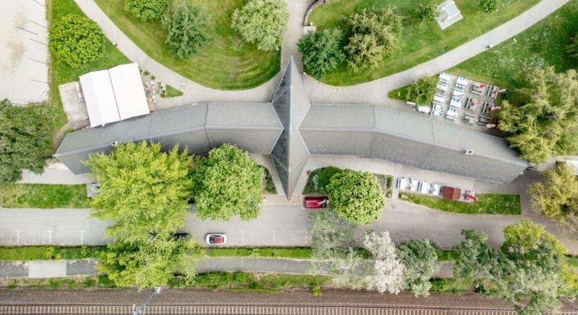 Balatonalmádi strandok – eltávolítják a veszélyessé vált fákat