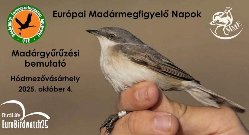 Madárgyűrűzési bemutatót tartanak Vásárhelyen