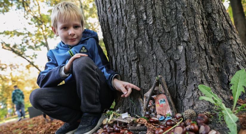 Kristóf készít lakhelyet a manóknak a győri ligetekben - képgaléria