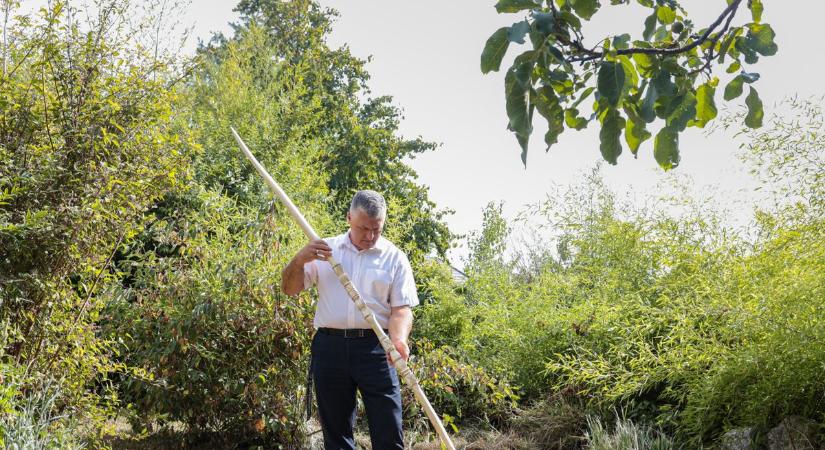 A közgyűlés elnökének keze alatt engedelmesen formálódik az akác