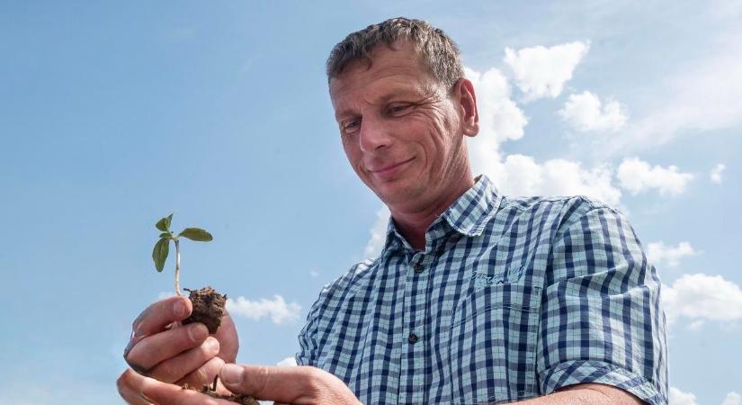Új szintre lép a Syngenta fenntarthatósági programja Dióskálon
