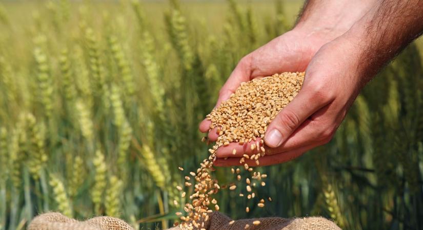 Fenntartható mezőgazdasági innovációk központja lett egy dióskáli farm