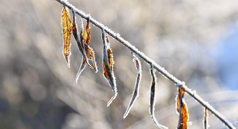 Lénárddarócon mínusz 1,8 Celsius-fok volt kedd hajnalban