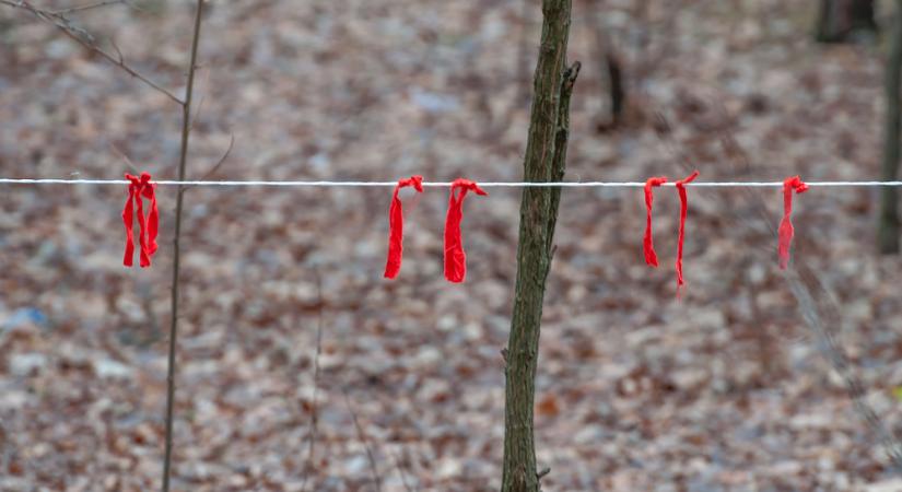 Így találták meg Kaszás Nikolettet – döbbenetes tárgyak a holttest mellett