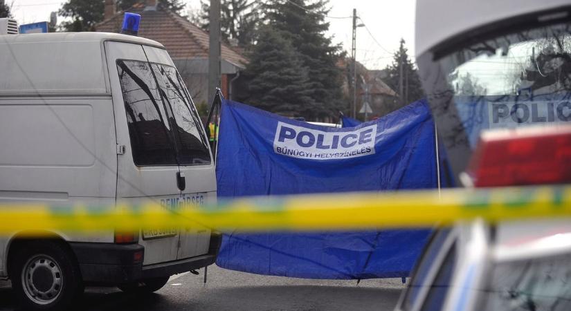 Meggyilkoltak egy fiatal férfit Komlón  az édesanya 7 évig nyomozott, ő buktatta le fia gyilkosát