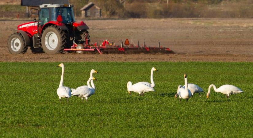 9 hónapra elegendő táplálékot halmozott fel egy közeli ország, komoly dologra készülnek