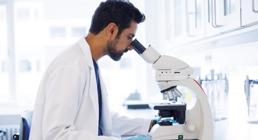 Emberi bőrsejtekből hoztak létre embriót – mérföldkő a biotechnológiában