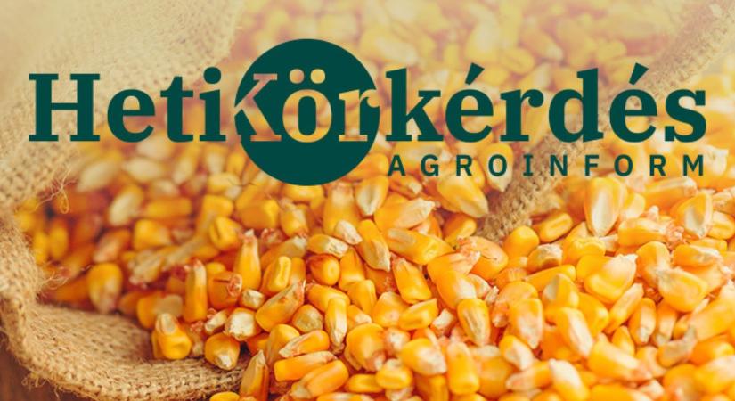 Hogyan védjük meg a betárolt terményünket? – Heti Körkérdés