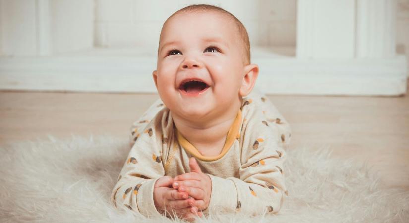 Négy kisbaba született kedden Sopronban