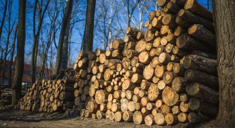 Szociális tüzelőanyag-támogatást igényelhetnek a lakosok