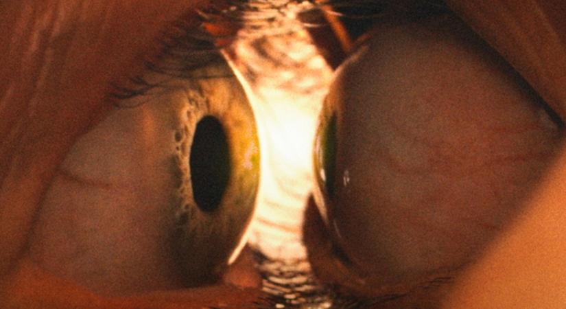 Mit nézzek? 4 új film, amit CSAK a mozikban láthatsz ezen a héten! (40. hét)