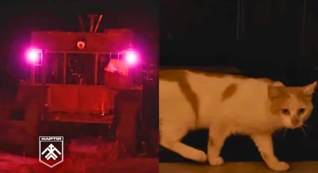 Robottal mentettek ki egy macskát az ukrán frontról – videó