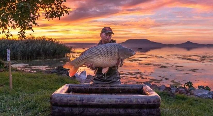Egymillió forint üti a legjobb horgász markát a Balatonnál
