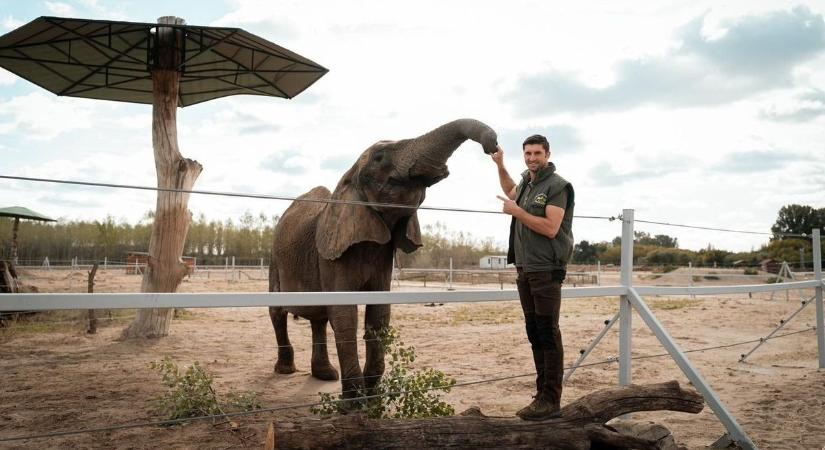 Az utolsó francia cirkuszi elefánt a Richter Safari Parkba költözött