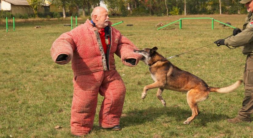 A Derecskei Kutyaiskolának nincs párja