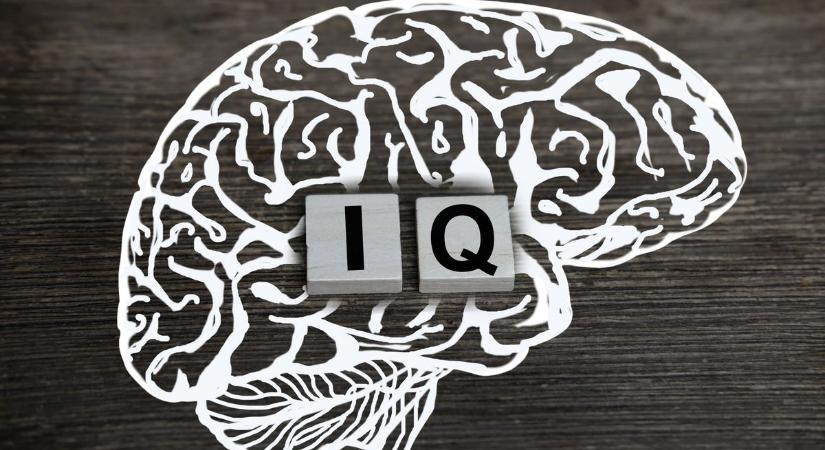 IQ-teszt: Ha hibátlanul kitöltöd, esélyed lehet a Mensa tagságra
