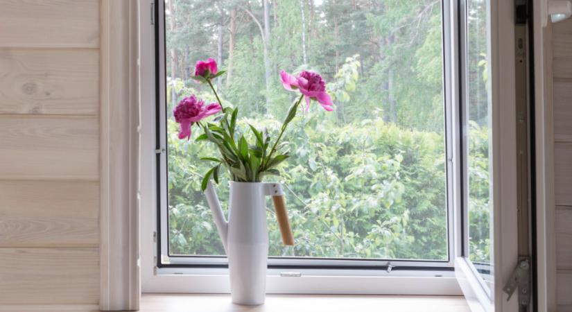 Büdös bogár invázió: 5 tuti tipp, hogy megszabadulj a rossz szagú poloskától