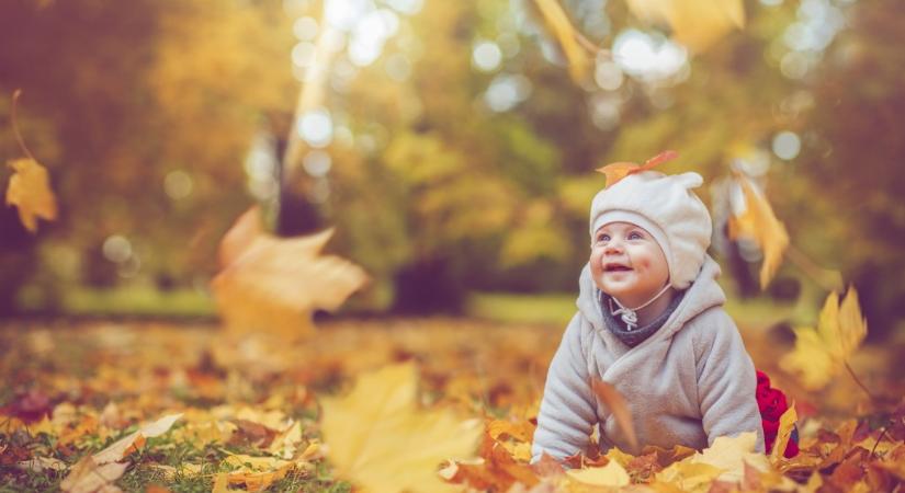 Kvíz: Őszi névnapos nevek – Tudod, mi a jelentésük?