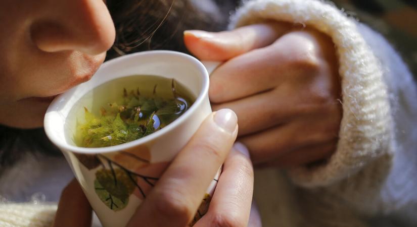 Bivalyerős immunerősítő teák náthaszezonra – Idd őket naponta