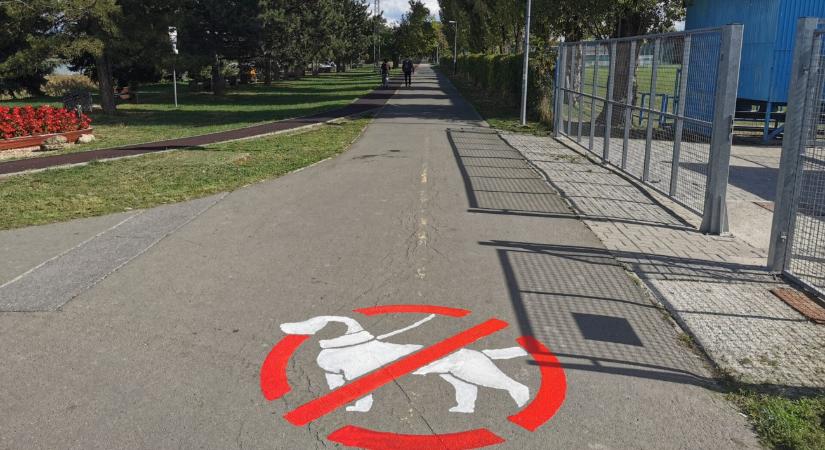 Nem mehetnek körbe a kutyák az Omszki-tó körül