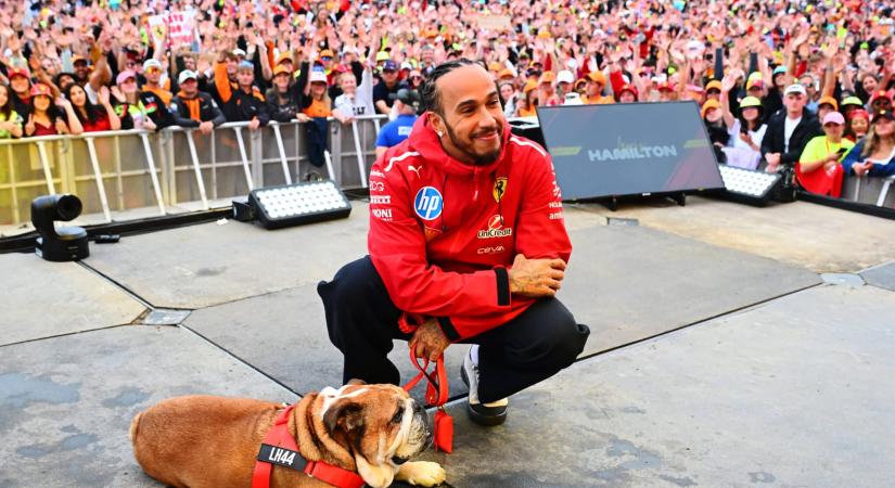 Elpusztult Lewis Hamilton kutyája – egyesek már a pilóta felelősségét firtatják